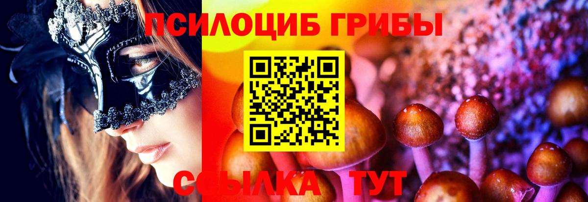 Урюпинск  Псилоцибиновые грибы GOLDEN TEACHER  Вход с VPN 
