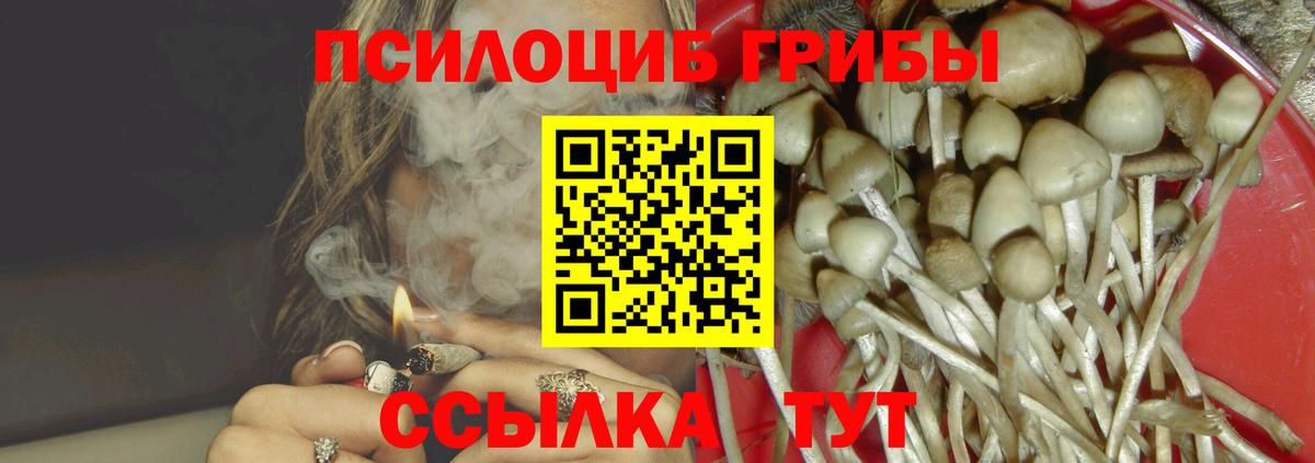 Галлюциногенные грибы прущие грибы Урюпинск